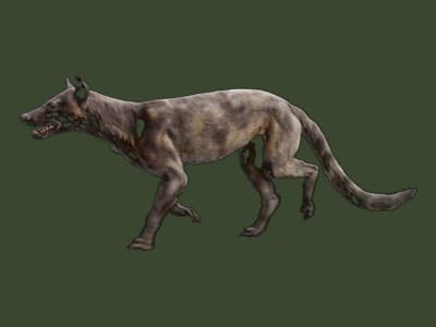 Daphoenodon paleoart