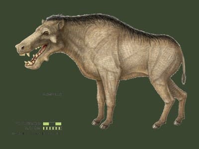 Dynohyus paleoart
