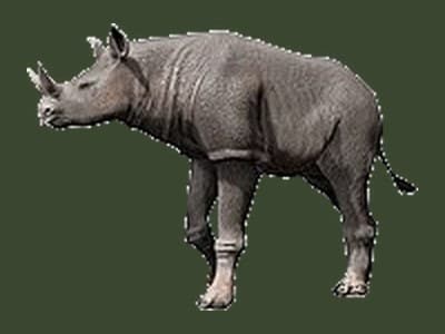 Menoceras paleoart
