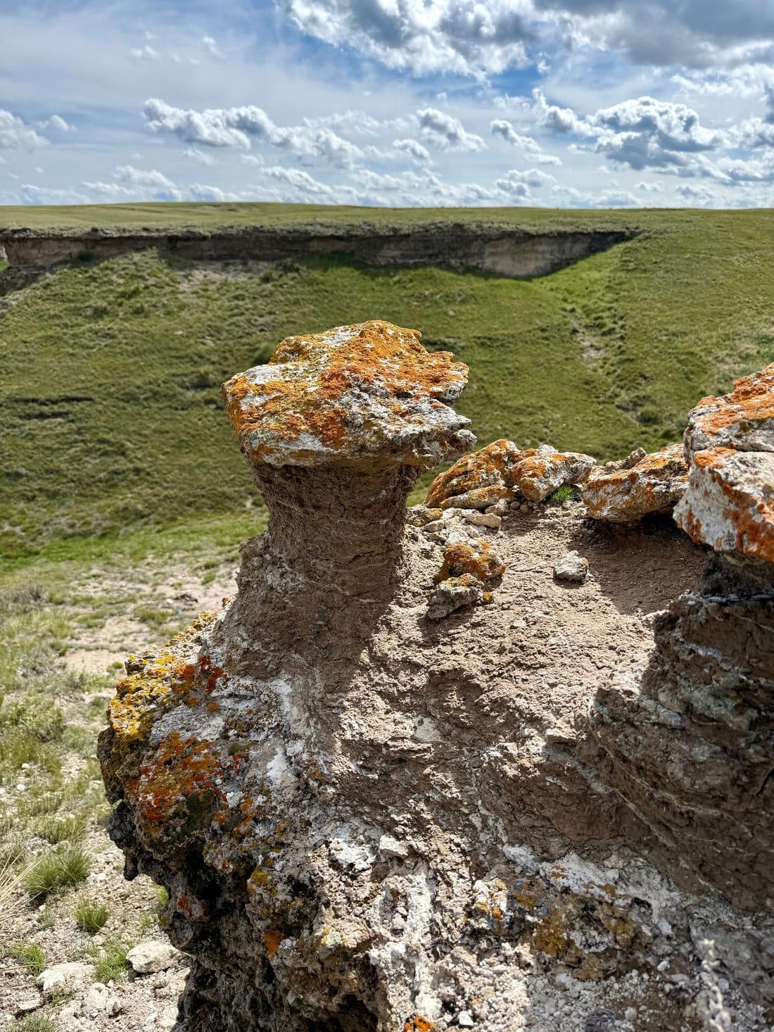 A wind-sculpted sandstone toadstool formation
